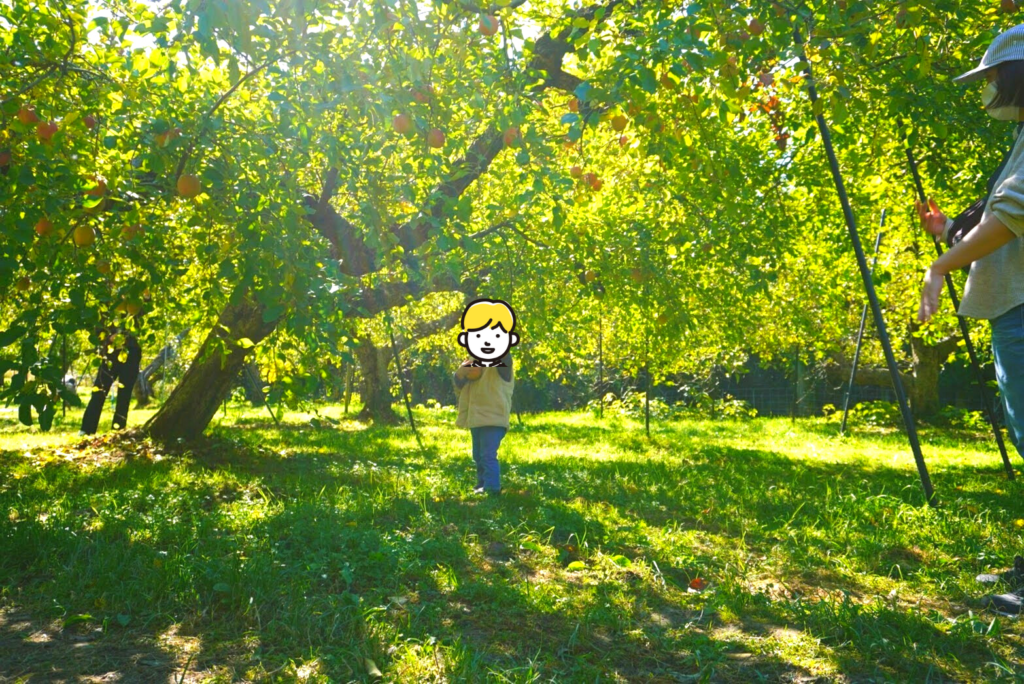 マルヤスりんご園