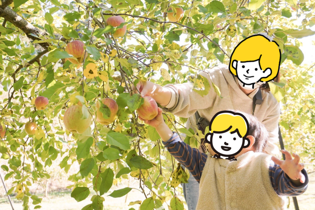 りんご狩りする親子