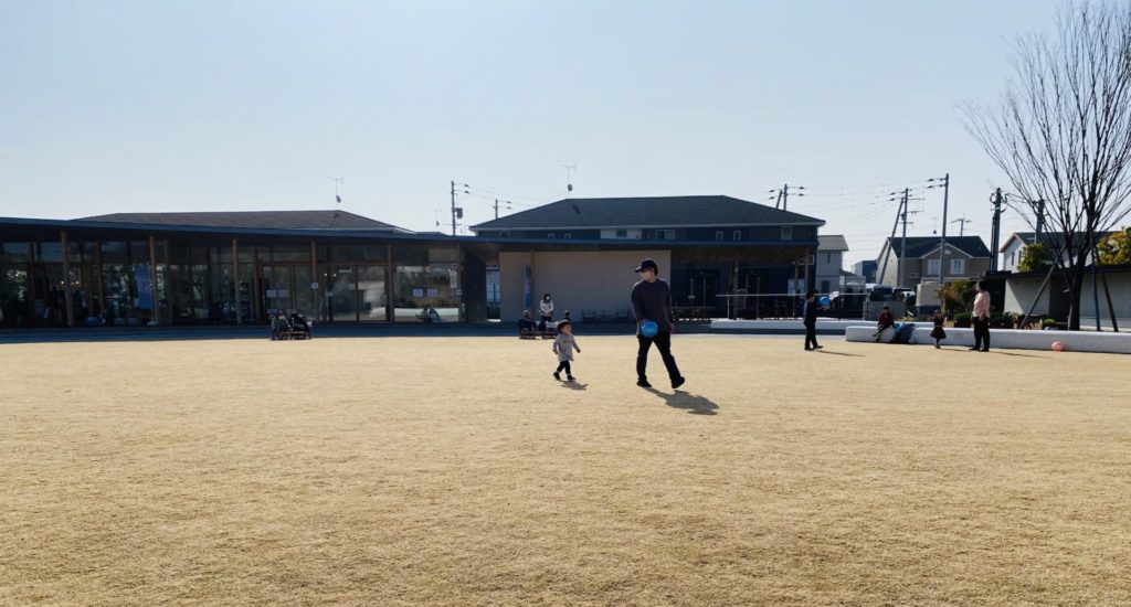 みんなの公園の芝生