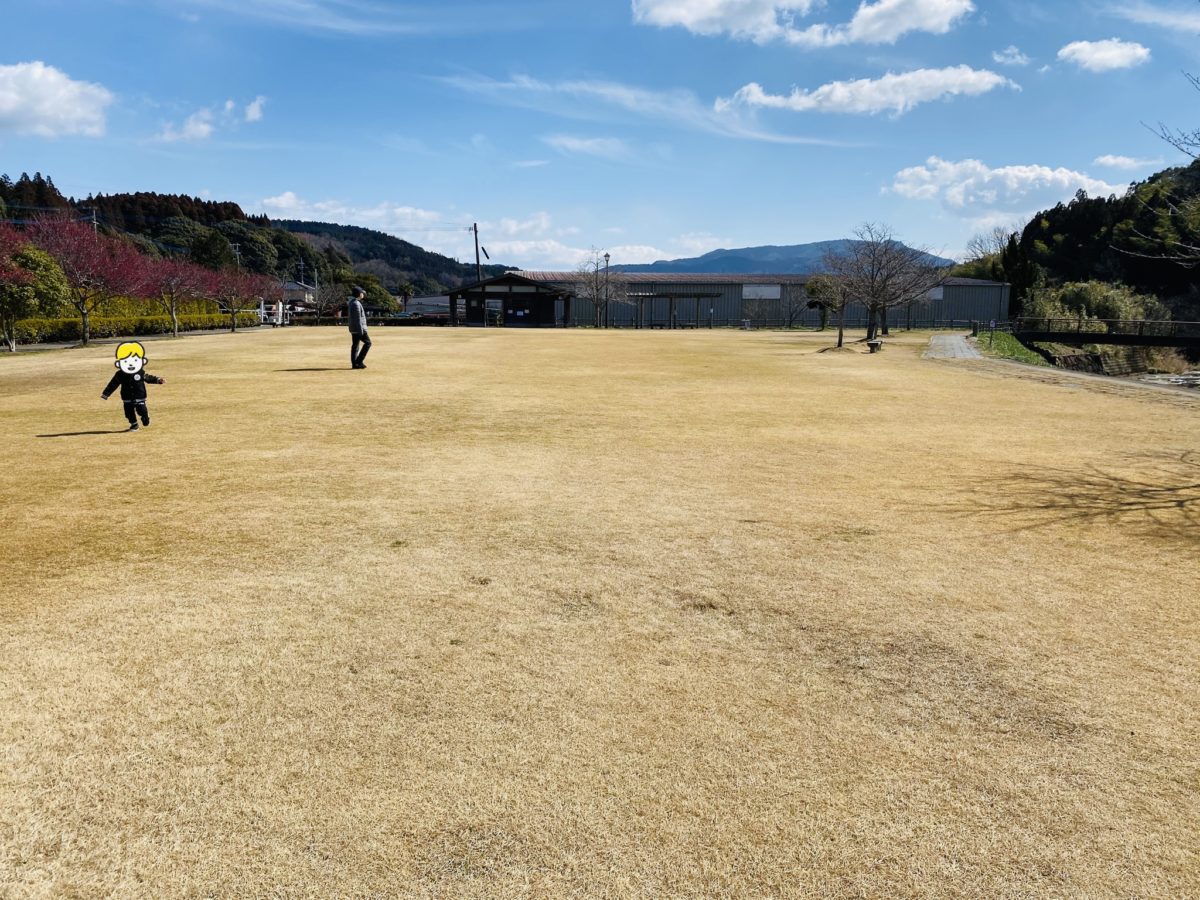 宝満山公園の芝生