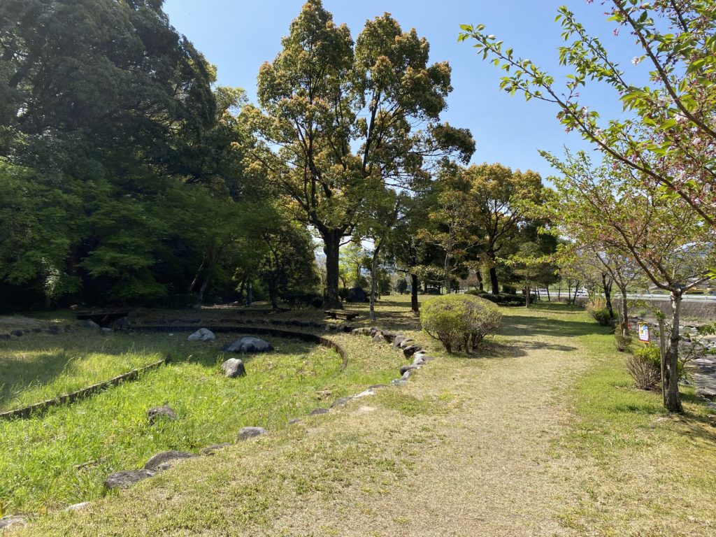 今出川ふるさと公園の芝生