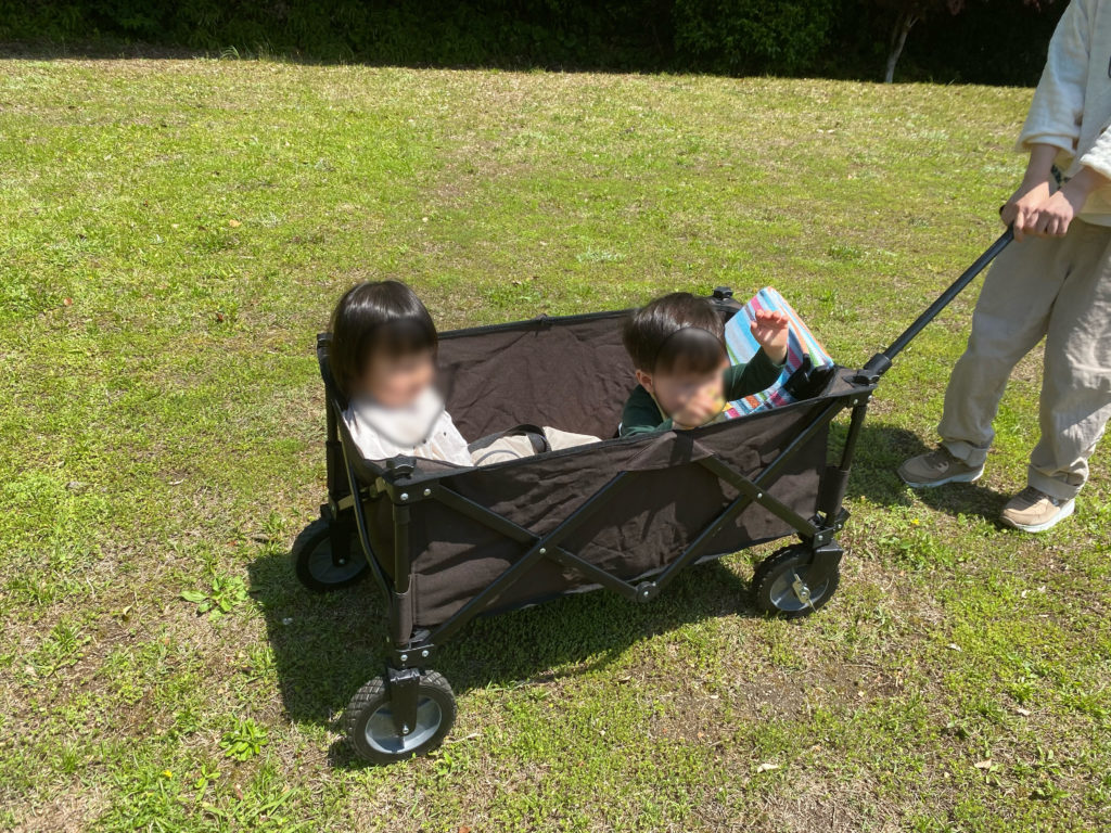 キャリーワゴン