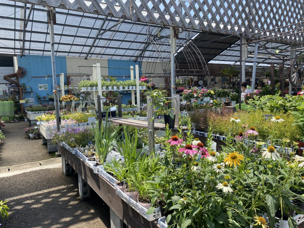 フラワーウッド