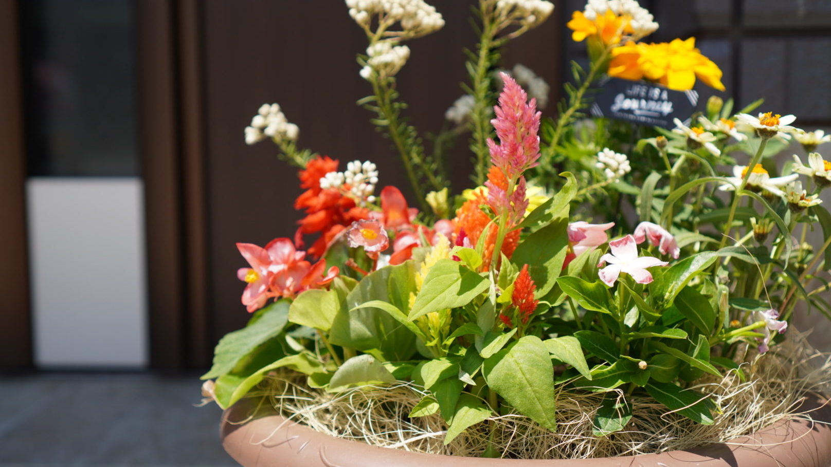 フラワーウッド花の寄せ植えワークショップ