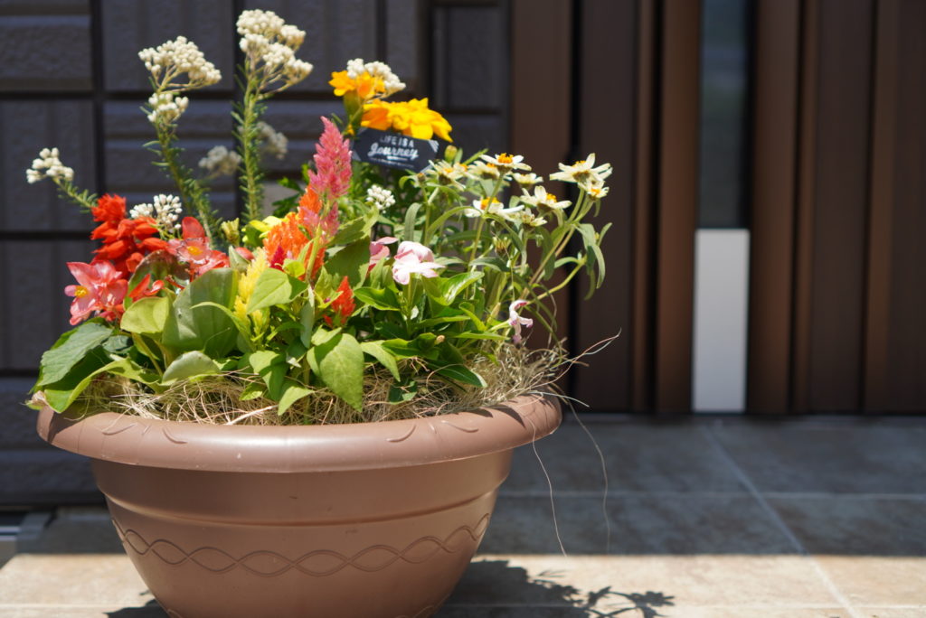 ワークショプ完成品