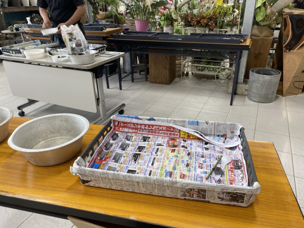 多肉の寄せ植えワーキショップの様子