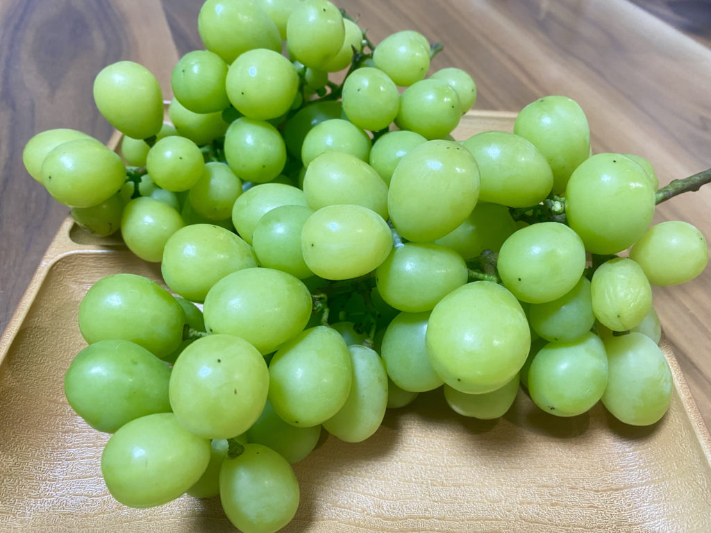 シャインマスカット